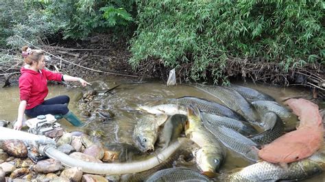  「イマキュレイト・ウォーター」：愛と勇気と、ちょっと変わった魚について！